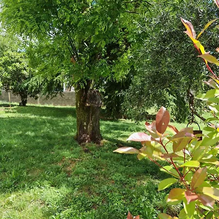 Le Grand Pin